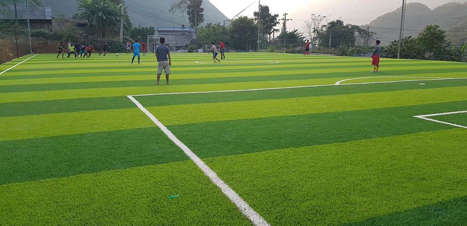 cỏ nhân tạo sân bóng