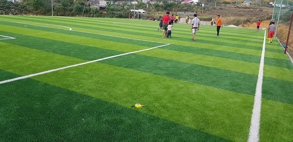 cỏ nhân tạo sân bóng