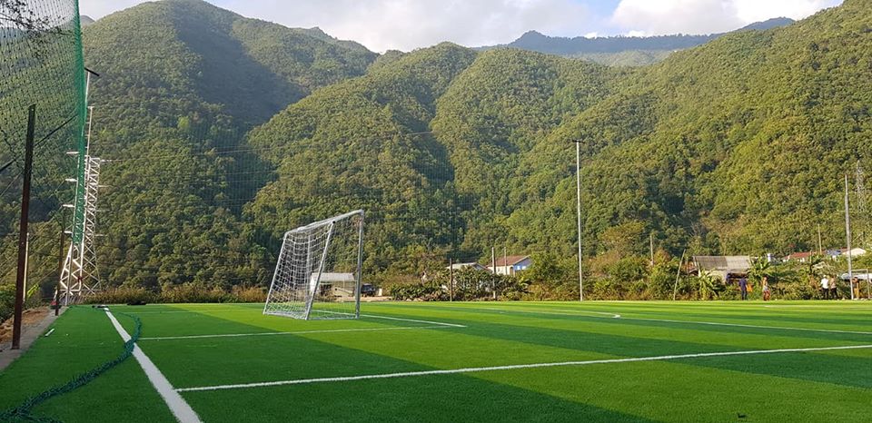 cỏ nhân tạo sân bóng