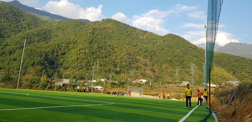 cỏ nhân tạo sân bóng