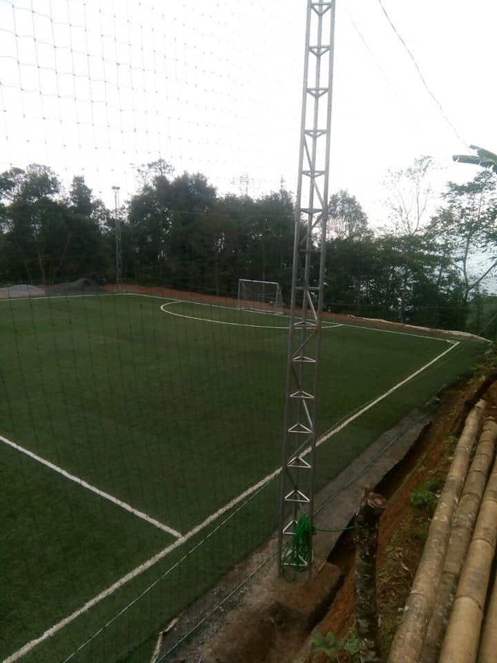 cỏ nhân tạo sân bóng