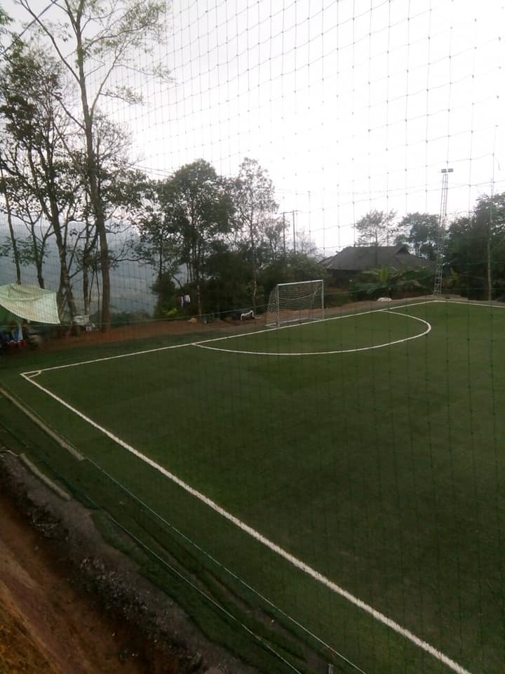 cỏ nhân tạo sân bóng
