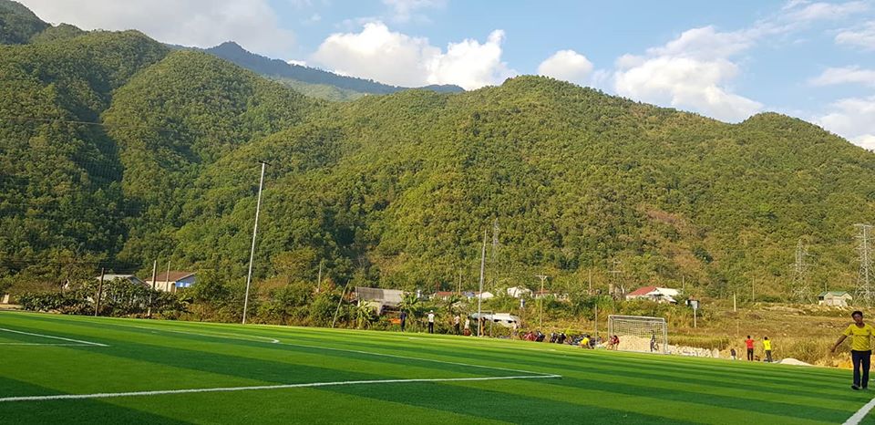 cỏ nhân tạo sân bóng