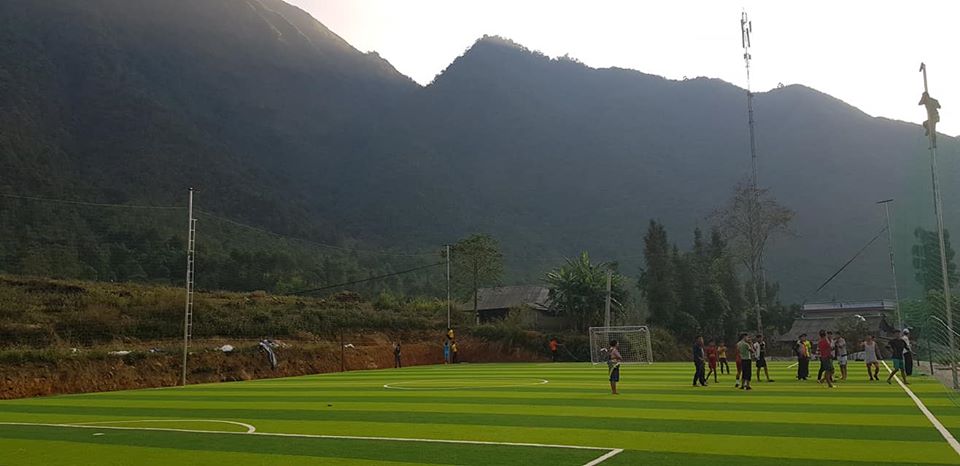 cỏ nhân tạo sân bóng