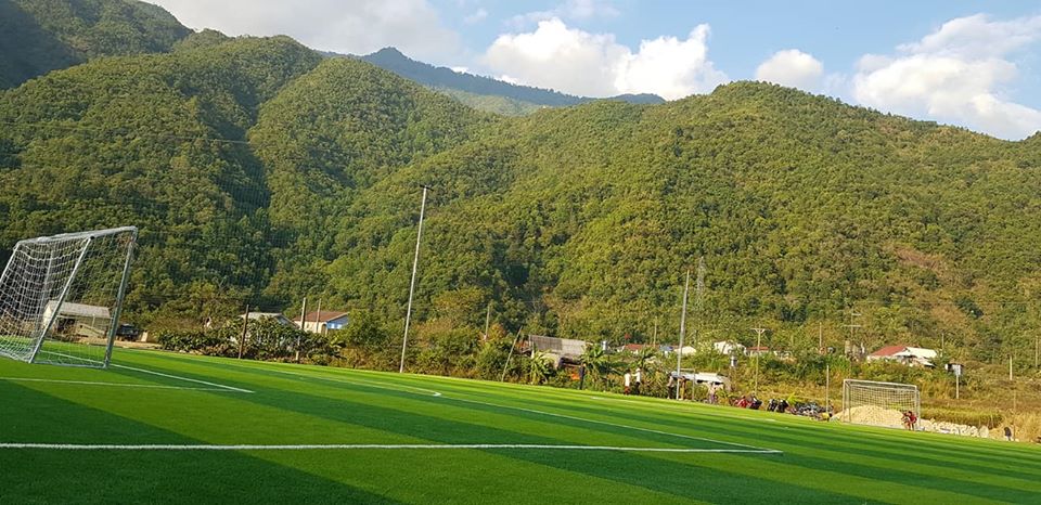 cỏ nhân tạo sân bóng