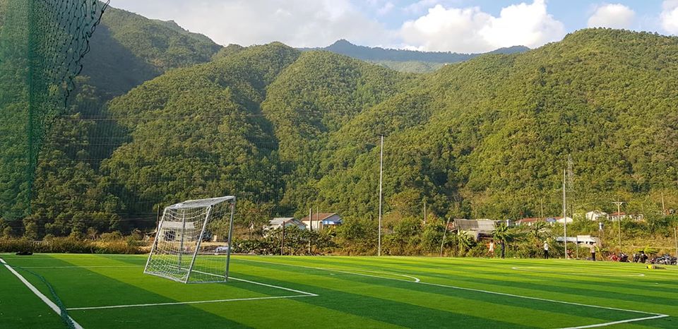 cỏ nhân tạo sân bóng