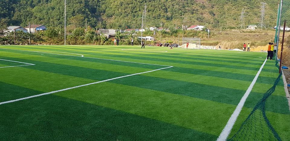cỏ nhân tạo sân bóng