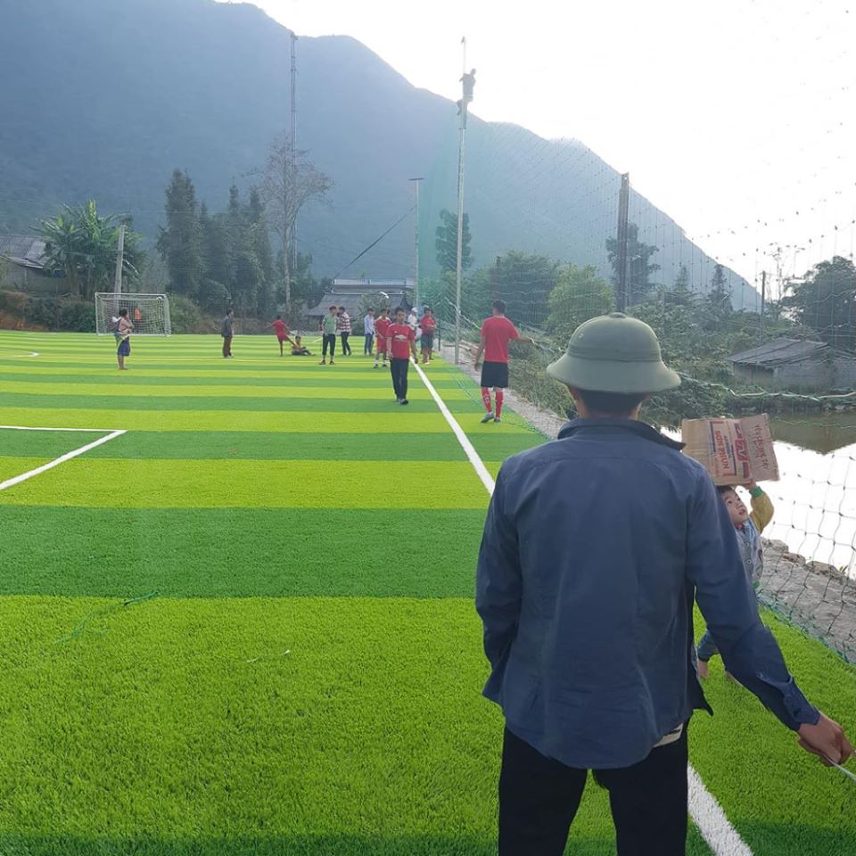 cỏ nhân tạo sân bóng