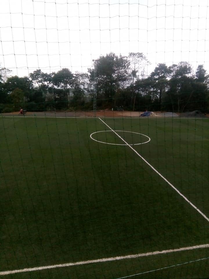 cỏ nhân tạo sân bóng